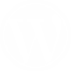 Wordpress Development